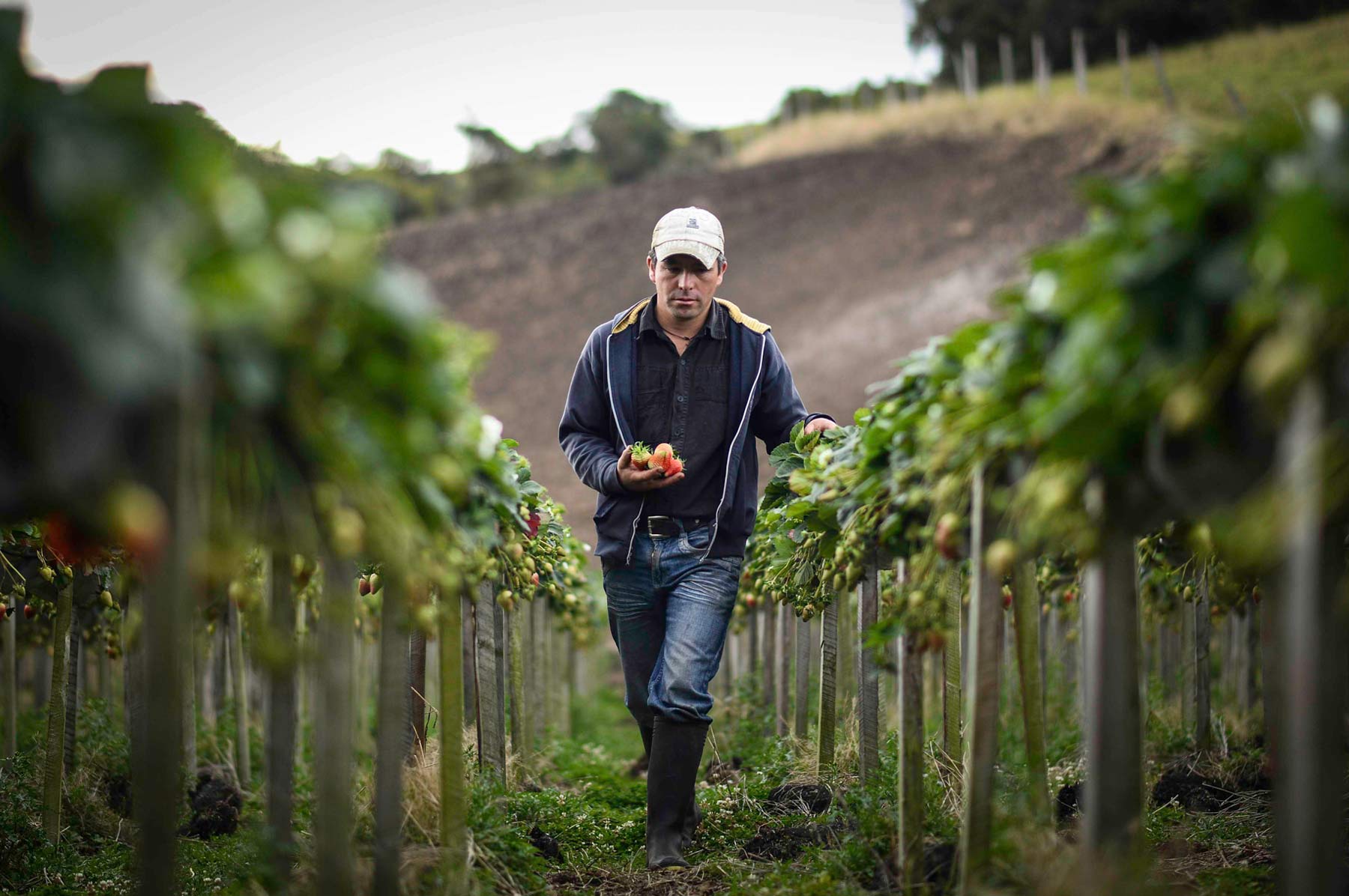 Guia básica para exportar