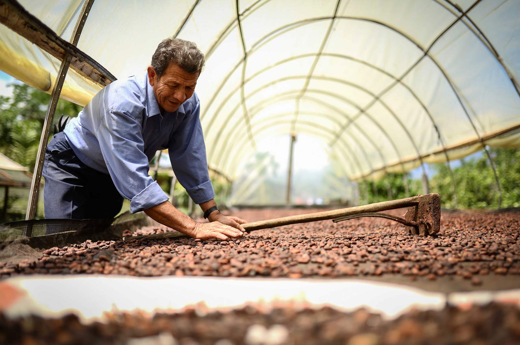 Herramientas para análisis del comercio exterior en Colombia